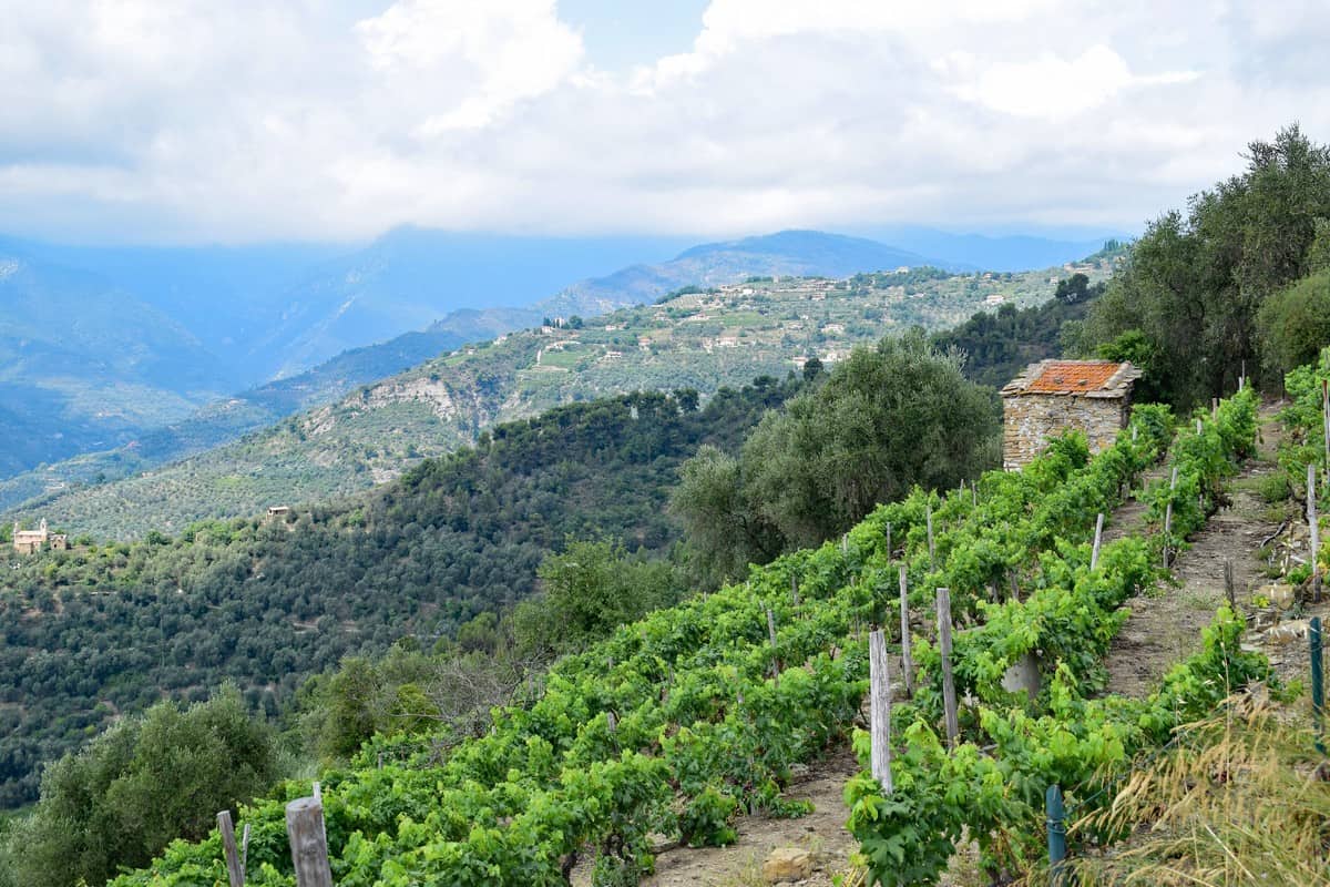 Liguria di Ponente